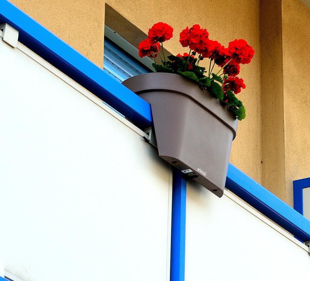 Residence Verbena Ρίμινι Εξωτερικό φωτογραφία